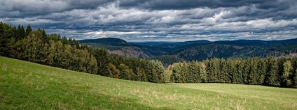 Šumava na jaře. Foto: Tor Lillqvist Flickr
