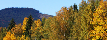 Podzimní Šumava Foto: Kletr Shutterstock Podzimní Šumava Foto: Kletr Shutterstock