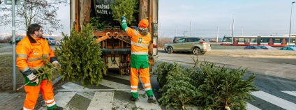 Foto: Pražské služby