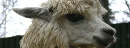 foto: ZOO Liberec foto: ZOO Liberec