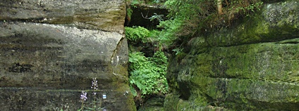 Vstup do soutěsky Sibiř Foto: Marie Čcheidzeová Wikimedia Commons