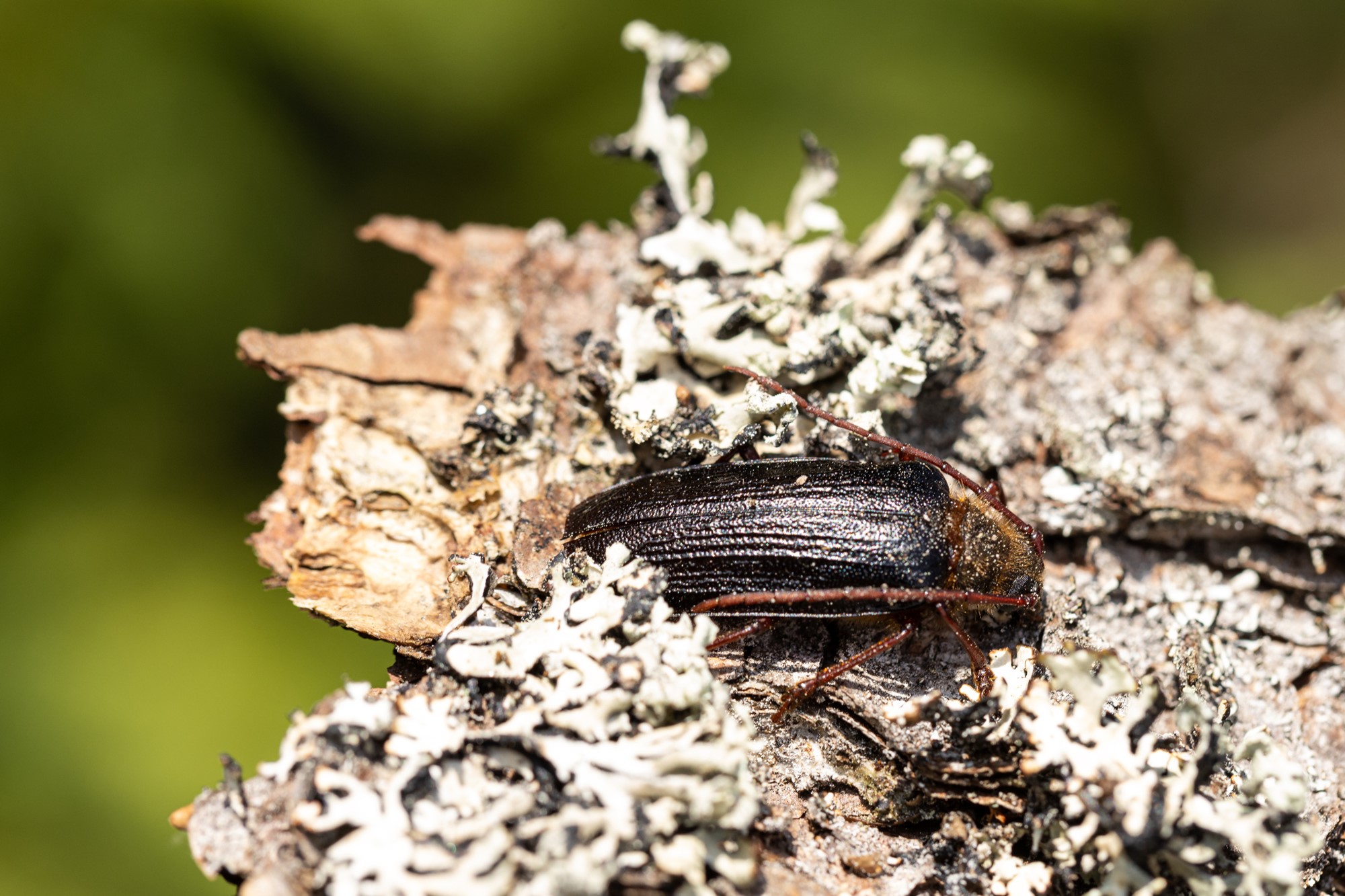 [ilustrační obrázek]