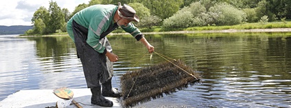 Umělá hnízda pro candáty Foto: Biologické centrum AV ČR