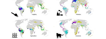 Foto: Nature Ecology and Evolution Foto: Nature Ecology and Evolution