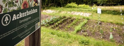 Urban gardening na hřbitově Neustift. Foto: Harald Lachner Mezinárodní kancelář města Vídně v Praze Urban gardening na hřbitově Neustift. Foto: Harald Lachner Mezinárodní kancelář města Vídně v Praze