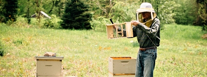 včelař Foto: Patrick Flickr