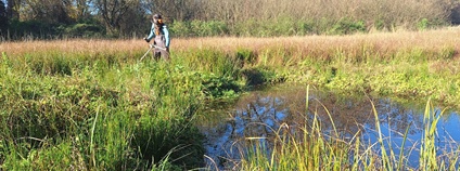ČSOP pečuje o desítky hektarů mokřadů po celé ČR Foto: Český svaz ochránců přírody