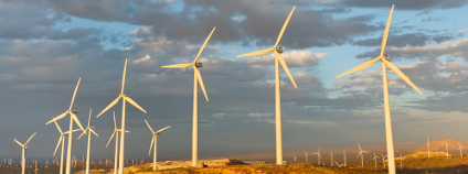 Větrná farma v Kalifornii Foto: Patrick Poendl Shutterstock