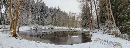 Lesy ČR obnovily Písařův rybník u Tří Seker na Chebsku Foto: Lesy ČR