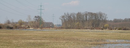 foto: Lesy ČR foto: Lesy ČR