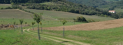 Vohančice Foto: Wikimedia Commons