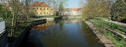 foto: praha-priroda.cz foto: praha-priroda.cz