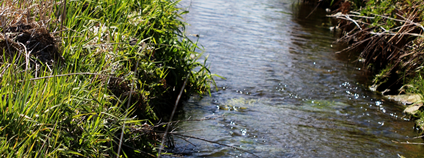 Volarský potok. Foto: Výzkumný ústav pro krajinu