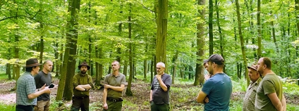 Výběr lokality ve Ždánickém lese Foto: A. Erber Lesy ČR