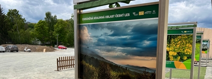Výstava k 20 letům CHKO Český les Foto: AOPK ČR, Regionální pracoviště Správa CHKO Český les Výstava k 20 letům CHKO Český les Foto: AOPK ČR, Regionální pracoviště Správa CHKO Český les