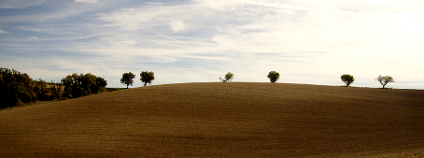 Zemědělská krajina. Foto: alpha du centaure/Flickr