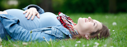 foto: S.Borisov / Shutterstock foto: S.Borisov / Shutterstock