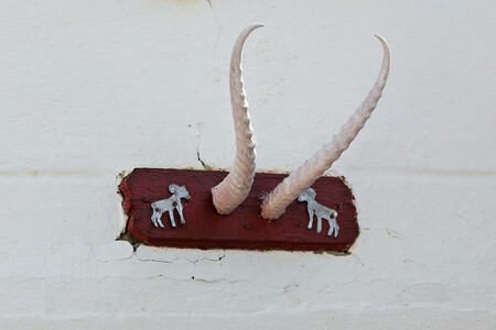 Rohy sajgy jako trofej sloužící k výzdobě domu.