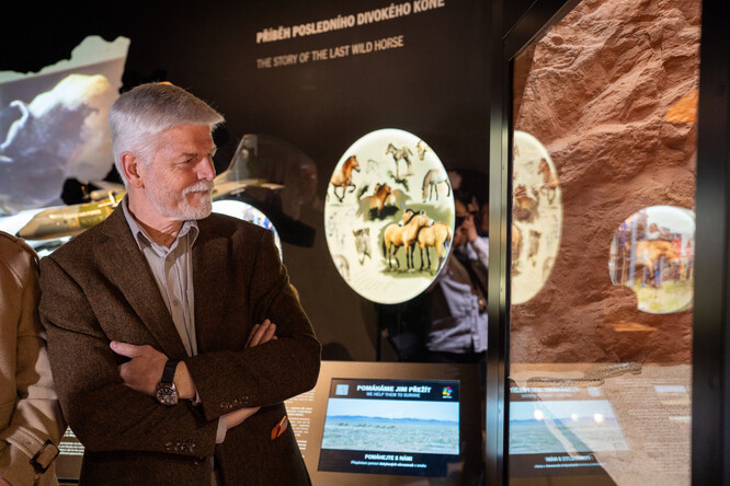 Z otevření nové expozice Gobi. <br />
