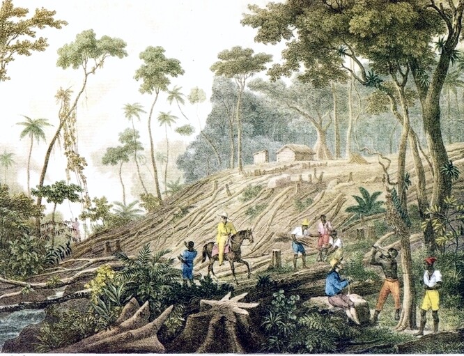 Devastaci brazilské přírody tematizoval už Humboldt a další cestovatelé v první polovině 19. století. J. M. Rugendas: Mýcení lesa, 1820–25. 
