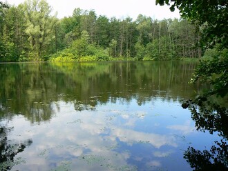  Gliňoč