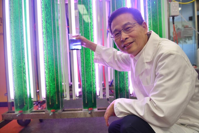 Zakladatel centra profesor Wei Zhang se vzorkem řas. 