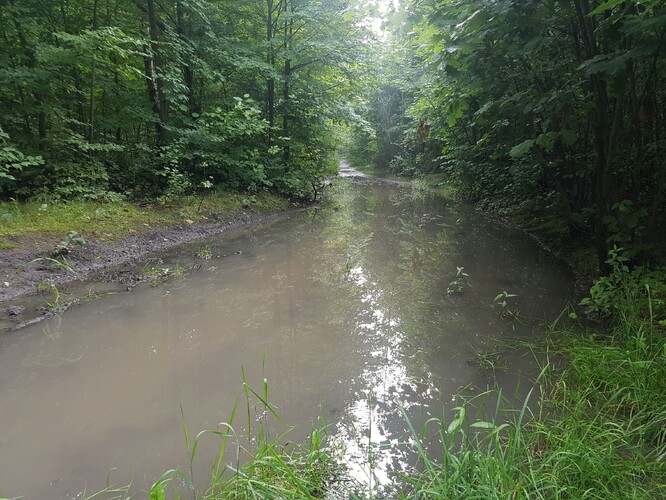 Permanentní jezero přímo na žluté značce.