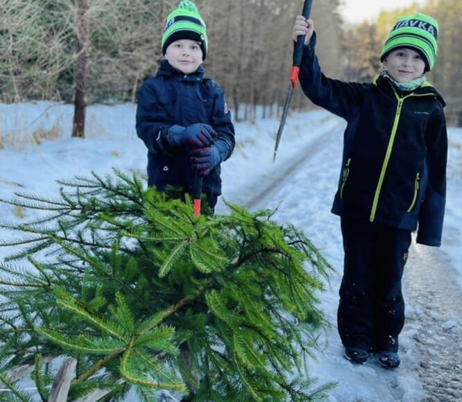 Všichni spokojeni. Příroda, majitel lesa i děti.