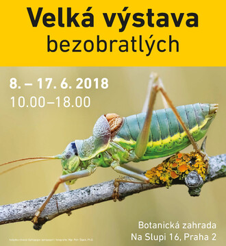  Leták výstavy.