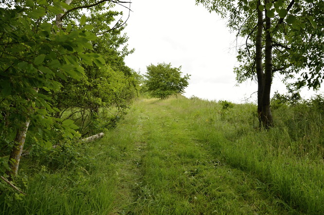 Klidně to sešlapte.