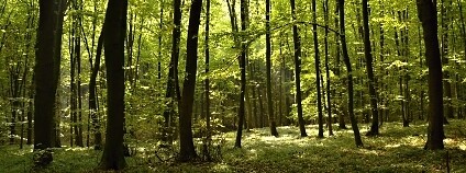 Foto: ČSOP