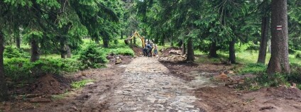 Foto: Společnost přátel Jeseníků