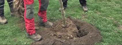 foto: eostrov.cz / youtube.com