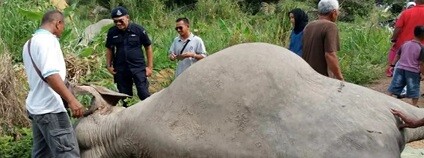 foto: Bernama