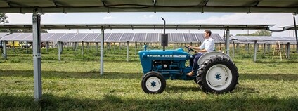 Agrivoltaika Foto: Werner Slocum / NREL Flickr 