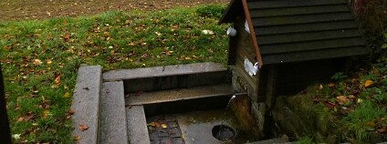 Foto: ČSOP