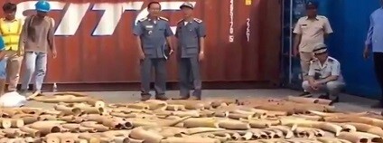 foto:  Breaking News Today / youtube.com
