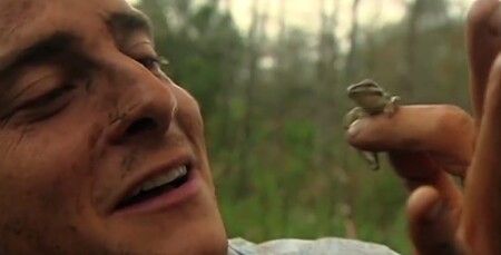 Tohle by David Attenborough kvůli dobrému záběru nikdy neudělal. Bear Grylls se chystá rozkousat žabku. Ilustrační snímek.