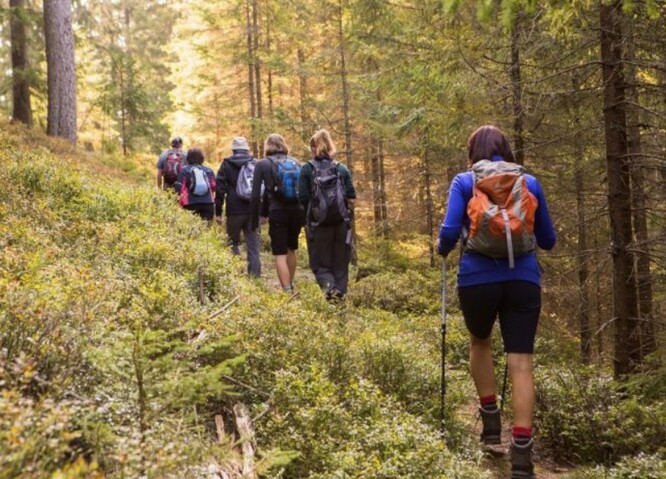 Šumavský národní park umožní návštěvníkům vyrazit na čtyři nové trasy do divočiny. 