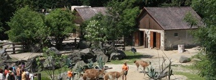 foto: zoojihlava.cz