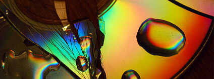 Foto: Todd Binger / Flickr