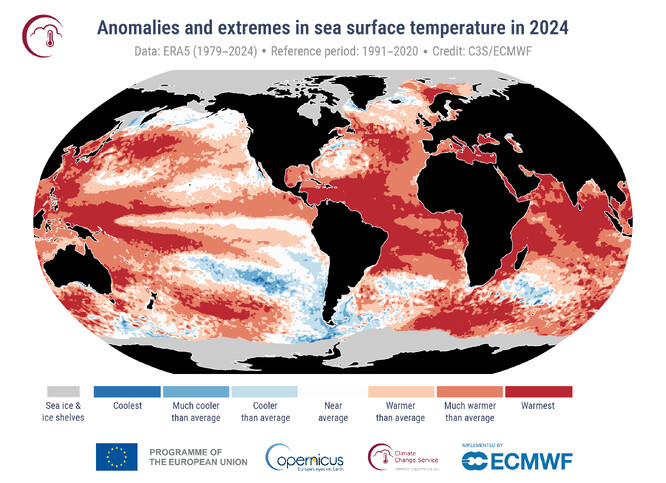 Anomálie a extrémy povrchové teploty moře pro rok 2024. Barevné kategorie odpovídají percentilům rozložení teplot pro referenční období 1991-2020. Extrémní (