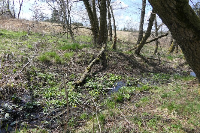 Prameniště nad Zákop