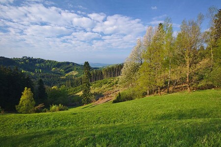 Dobšena je orchidejová louka, která byla vykoupena v rámci kampaně Místo pro přírodu před několika lety, Stráž pak les ve vlastnictví místního pozemkového spolku - Českého svazu ochránců přírody Kosenka. Právě v těchto místech se uskutečnil i nový výkup