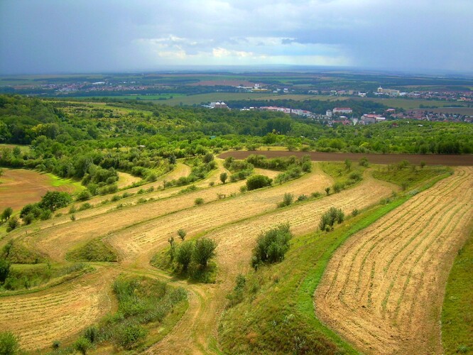 Takovou zemědělskou krajinu by chtěl kdekdo. Jak jí ale dosáhnout?