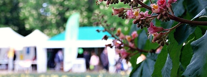Foto: Markéta Hrnčálová / Ekocentrum Koniklec