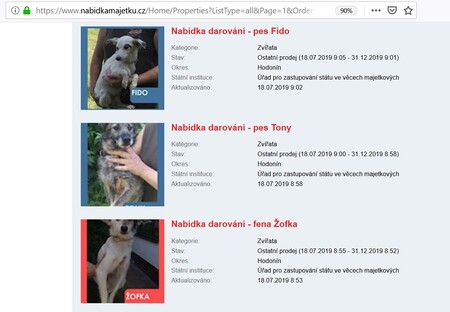 Stát hledá nové majitele pro desítky zvířat, která se do jeho péče dostala kvůli týrání a nevhodné péči nebo po zemřelých lidech bez dědiců. K adopci je nabízí web Úřadu pro zastupování státu ve věcech majetkových.