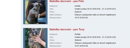 foto: nabidkamajetku.cz 