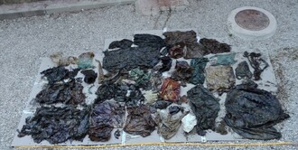  Studie zkoumající mrtvé velryby a delfíny vyplavené na březích Řecka ukázala, že jejich žaludky obsahují znepokojivě velké množství plastů, které jim přivozují často pomalou a bolestnou smrt.