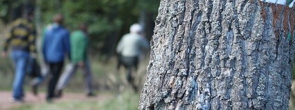 foto: vls.cz 
